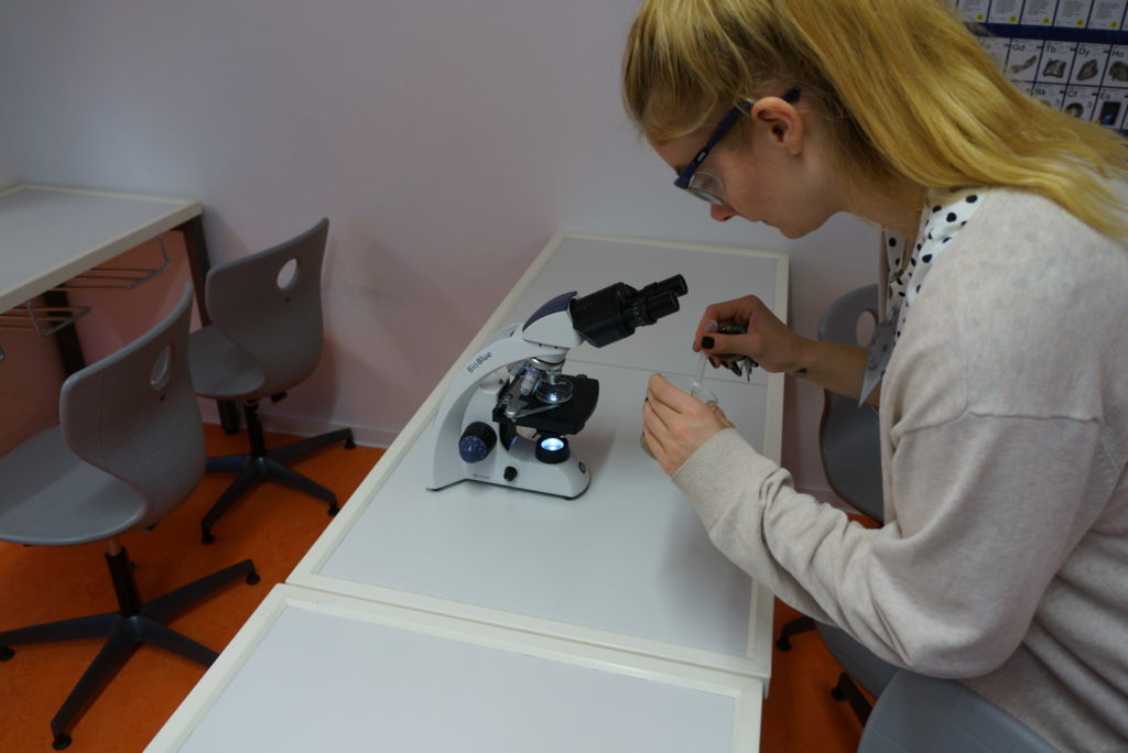 Albert-Einstein-Gymnasium Düsseldorf