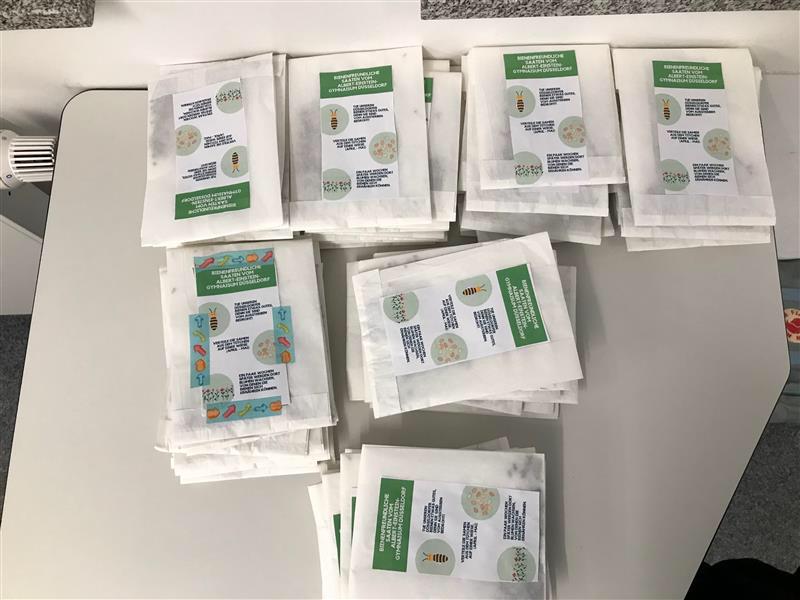 Albert-Einstein-Gymnasium Düsseldorf