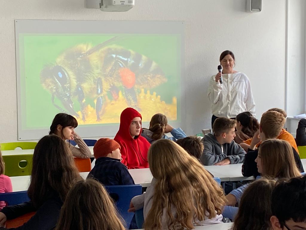 Albert-Einstein-Gymnasium Düsseldorf