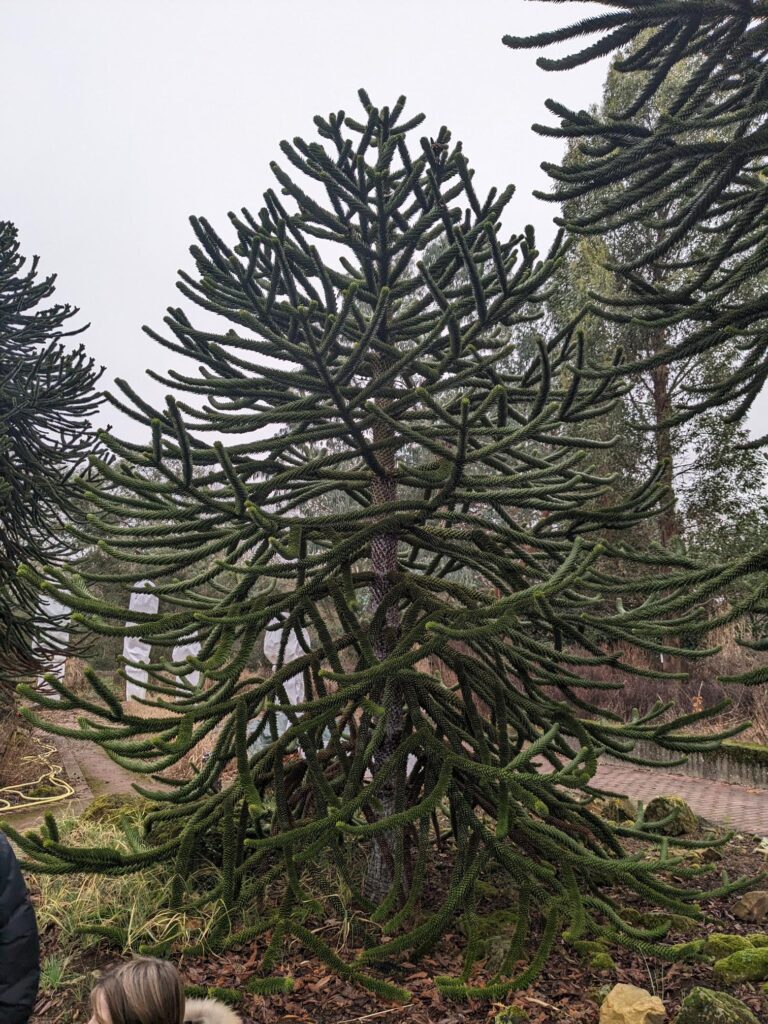 Albert-Einstein-Gymnasium Düsseldorf