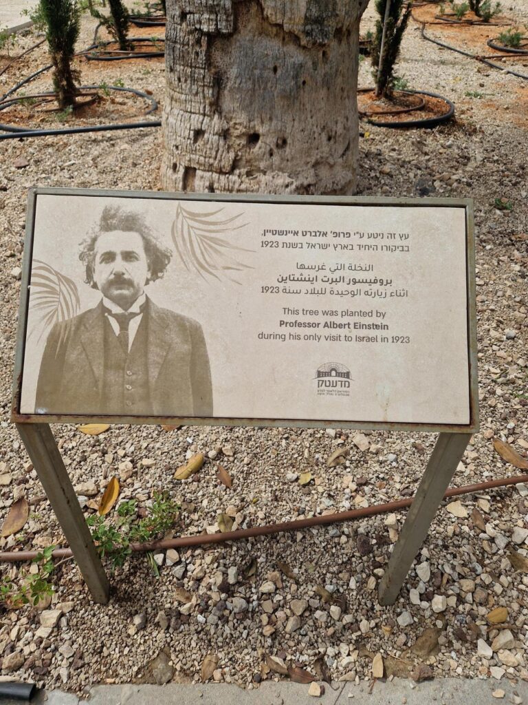 Albert-Einstein-Gymnasium Düsseldorf