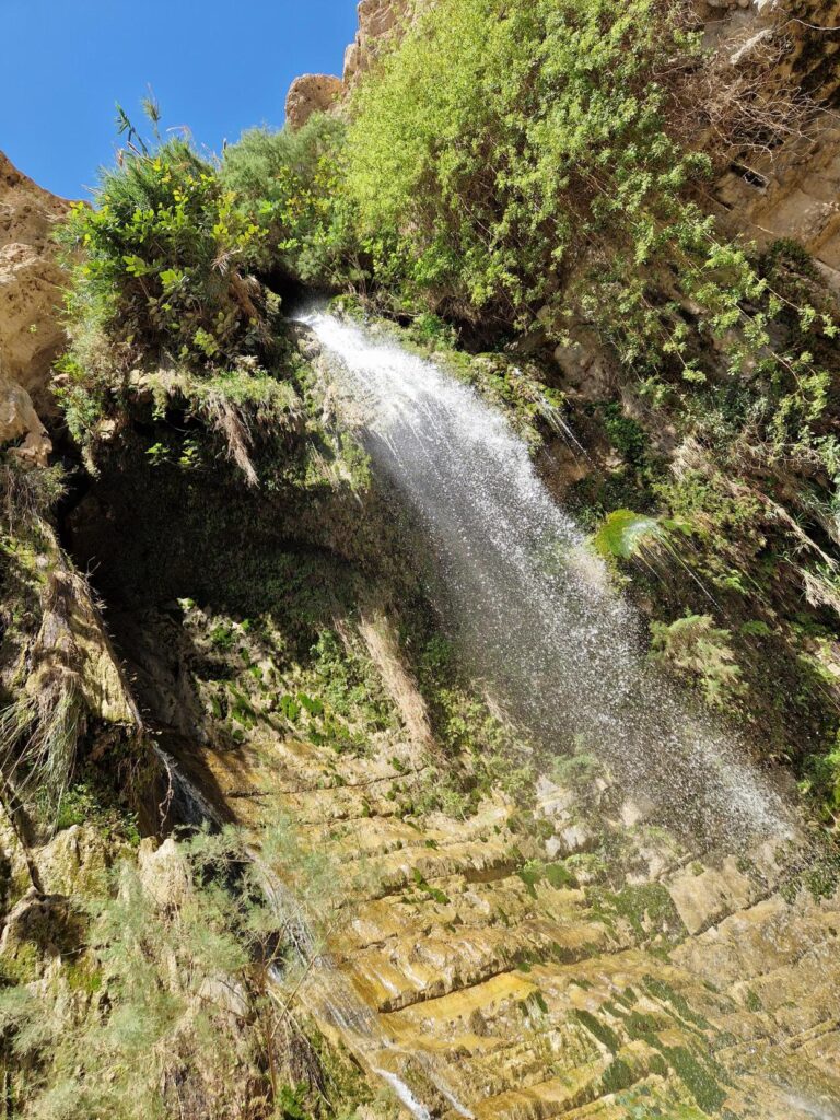 Albert-Einstein-Gymnasium Düsseldorf