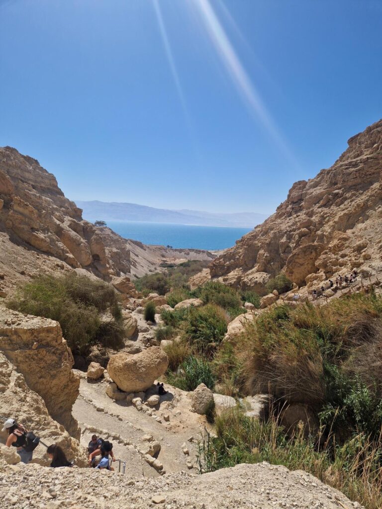 Albert-Einstein-Gymnasium Düsseldorf